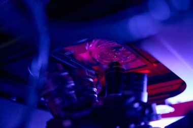 Hücre kültüründe sıvının altındaki hücrelere yakın çekim görüntüsü, genetik anormallikler laboratuarında mikroskop altında araştırma