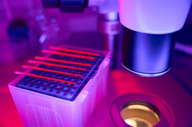 Mikroskop yakınındaki hücre kültüründe bulunan DNA örnekleri yumurta döllenmesinden önceki sperm testleri, isimsiz bir sperm donöründen alınan döllenme.