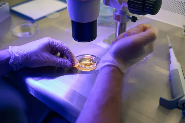 Técnico Laboratório Reprodutologia Tomando Líquido Tubo Ensaio Com Pipeta Adicionando — Fotografia de Stock