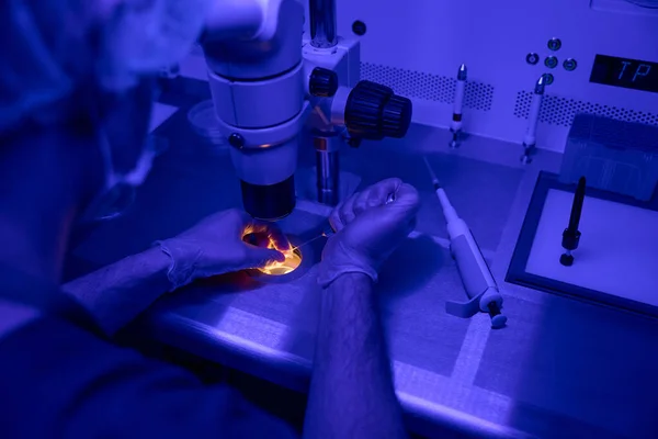 Reproductive Laboratory Worker Carefully Cultivating Embryos Cell Culture Dish Looking — Stock Photo, Image