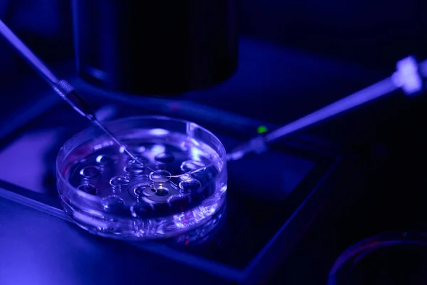 Trabalhador Laboratório Reprodutologia Micromanipulando Com Células Placa Cultura Células Luz — Fotografia de Stock