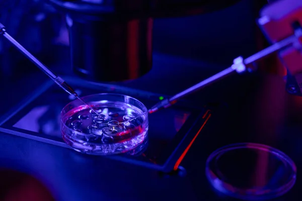 Close Micromanipulator Doing Fertilization Female Cell Spermatozoa Cell Culture Dish — Stock Photo, Image