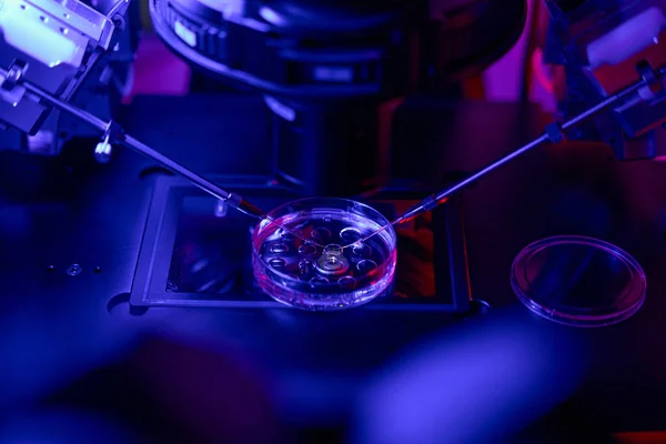Эмбриолог Удаляет Несколько Клеток Внешнего Слоя Эмбриона Сделать Тесты Предотвратить — стоковое фото