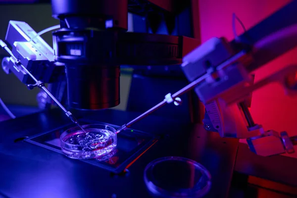 Specjalne Mikromanipulatory Wyodrębniające Blastomery Zawierające Chromosomy Analizowane Pod Kątem Pewnych — Zdjęcie stockowe