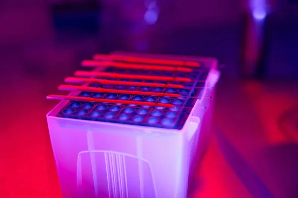 Próbki Różnymi Odczynnikami Leżącymi Powierzchni Hodowli Komórek Badania Nad Rakiem — Zdjęcie stockowe