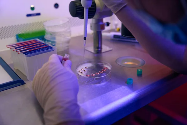 Embryolog Pracující Biomateriálem Specializované Reprodukční Laboratoři Přidávající Buňky Desku Mikrofonem — Stock fotografie