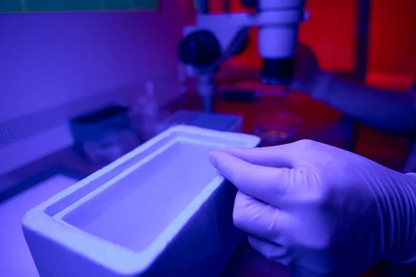 Technik Laboratoryjny Reprodukcji Wkłada Słomkę Embrionem Zbiornika Ciekłego Azotu Aby — Zdjęcie stockowe