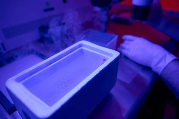 Técnico Laboratório Reprodutivo Preparando Palhas Com Embriões Para Criopreservação Colocando — Fotografia de Stock