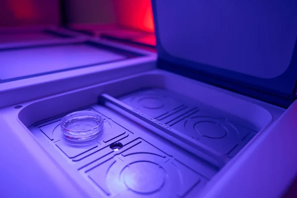 Culture cell dish with embryos placing into one of the chambers of in vitro fertilisation incubator for storage, reproductive laboratory