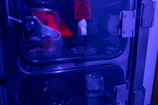Крупный План Холодильника Спермы Репродуктивной Биолаборатории Хранение Образцов Безопасности — стоковое фото