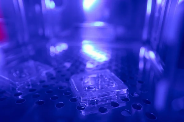 观察4块含有特殊冰箱 人类胚胎细胞培养实验室 产科和妇科细胞的聚苯乙烯处理板 — 图库照片