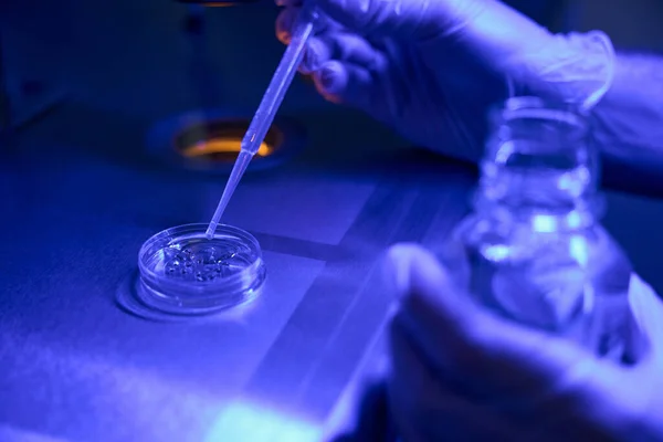 Genetyczny Pracownik Laboratoryjny Łączący Jajo Spermą Invitro Pracujący Ciemnym Pomieszczeniu — Zdjęcie stockowe