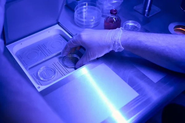 Männliche Wissenschaftliche Labormitarbeiterin Bei Der Genetischen Gigagnose Vor Der Implantation — Stockfoto