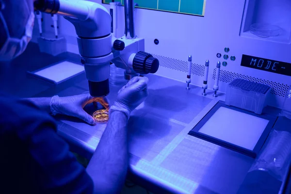 Embriók Beágyazódás Előtti Genetikai Diagnosztikáját Mikroszkóp Alatt Végző Magasan Képzett — Stock Fotó