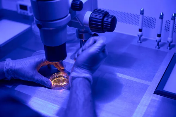 Técnico Laboratório Close Que Estuda Crescimento Embriões Sob Microscópio Verificando — Fotografia de Stock