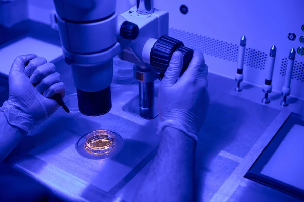 胚胎学家在显微镜下工作 增加胚胎在发育早期关键阶段所需的特殊营养 — 图库照片