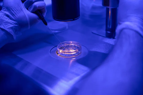 Trabalhador Laboratório Reprodutologia Masculina Que Trabalha Microscópio Selecionando Embriões Para — Fotografia de Stock