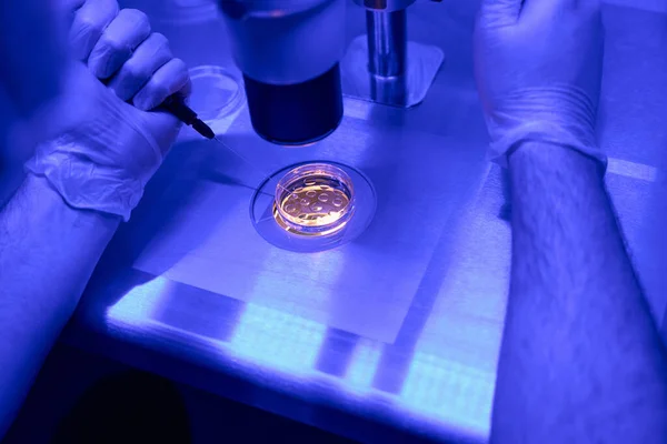 Mężczyzna Embriolog Usuwający Jedną Komórkę Rozwijającego Się Zarodka Aby Zbadać — Zdjęcie stockowe