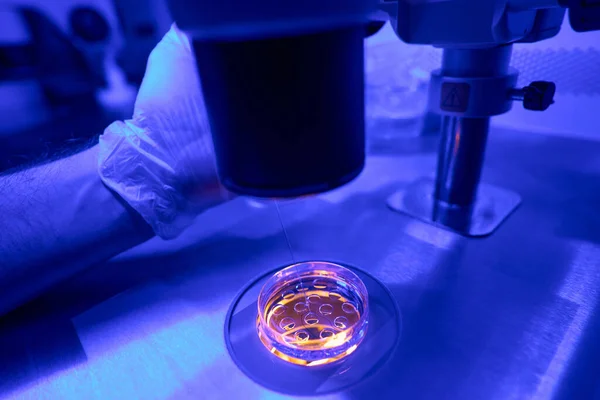 实验室研究人员将特殊液体注入带有胚胎的培养皿中 进行基因材料储备 近距离研究 — 图库照片