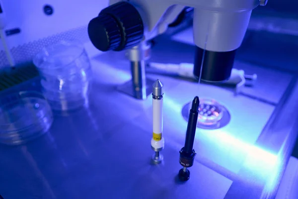 Capilary Holders Standing Laboratory Desk Microscope Reprudoctologist Conducting Genetic Reserches — Stock Photo, Image