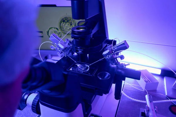 Kvalifikovaný Embryolog Používající Mikromanipulátor Pro Intracytoplazmatickou Injekci Spermií Sterilní Reprodukční — Stock fotografie