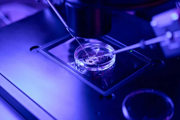 Close View Micromanipulation Germ Cells Microscope Preimplantation Genetic Diagnosis — Stock Photo, Image