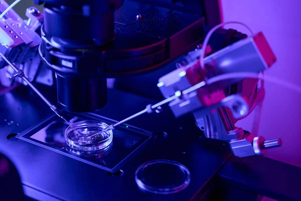 Micromanipulações Perto Com Embriões Diagnóstico Genético Pré Implantação Para Excluir — Fotografia de Stock