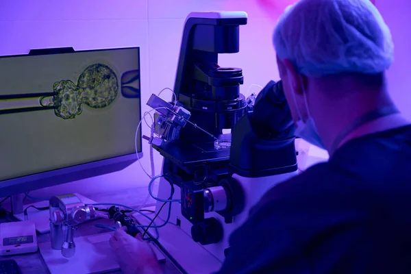 微处理器在生物流产过程中培养细胞的胚胎学家 在与显微镜相连的数字显示屏上观察他的动作 — 图库照片