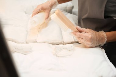 Hassas kumaş, özel fırçayla temizlik malzemesi, profesyonel bakım, leke çıkarıcı etken yakın plan yetenekli işçi.