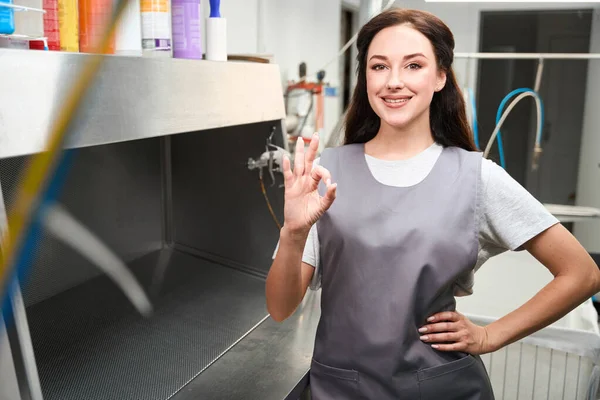 Högkvalificerad Kvinnlig Kemtvätt Servicearbetare Visar Okej Gest Och Leende Tillhandahålla — Stockfoto