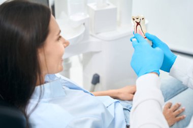 Nitelikli doktor stomatolojisti, dişinin modelinde ve iltihaplanma yerinde ortodontik sandalyede oturan kadın müvekkili gösteriyor.