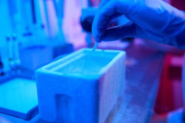 Laboratuvar çalışanı bir çubuğu sıvı nitrojen tankına embriyo ile batırıyor, modern ekipmanlar kullanıyor.