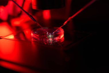 Modern embriyolog aygıtı bir dizi mikro manipülatördür, manipülasyonlar güçlü bir mikroskop altında gerçekleştirilir.