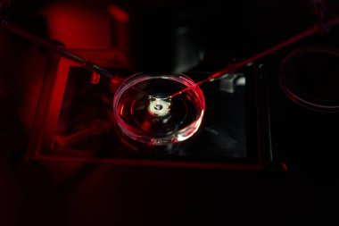 Modern embriyolog aygıtı mikro manipülatörlerden oluşur, manipülasyonlar güçlü bir mikroskop altında gerçekleştirilir.