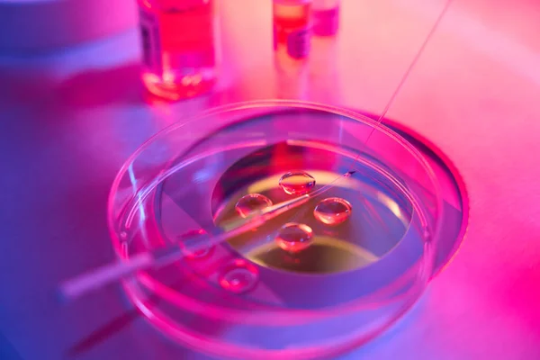 Procedimiento Biotecnológico Biopsia Del Embrión Laboratorio Moderno Kit Del Micromanipulador —  Fotos de Stock