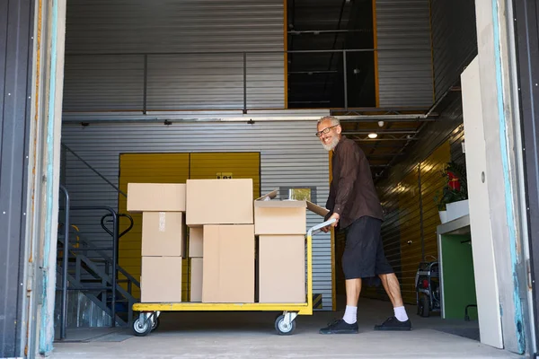 Gray-haired cheerful male is pushing cargo cart around a warehouse, there are a lot of cardboard boxes on the cart