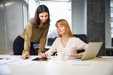 Şirket ofisindeki meslektaşlar ofiste stratejiler tasarlamayı tartışıyor.