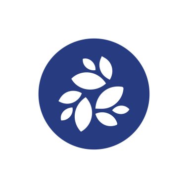 Beyaz arkaplanda NKN para simgesi izole edildi.