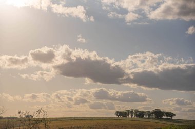 Pampa biyolojisi kırsal alan. Pampa, tipik bir astropikal iklim kuşağında belirli coğrafi özelliklere sahip çok spesifik bir biyolojidir. Kırsal turizm. Çevre koruma alanı.