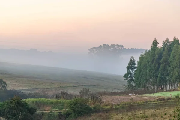 winter dawn with fog formation. Rural landscape at dawn. Winter morning in south america.