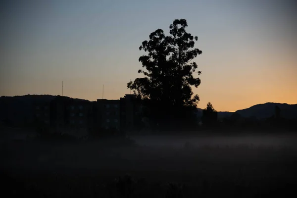 Зимовий Світанок Утворенням Туману Сільський Пейзаж Світанку Зимовий Ранок Південній — стокове фото