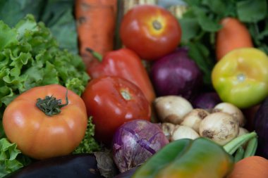 Organik arka planda çeşitli sebzeler. Yenilebilir yiyecekler. Salatalar için malzemeler. Vejetaryen mutfağı. Sağlıklı beslenme.