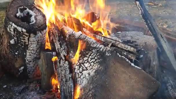 リオグランデドスルでのバーベキューのための地上火災 — ストック動画