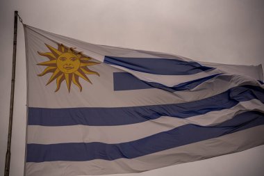 uruguay bayrağı