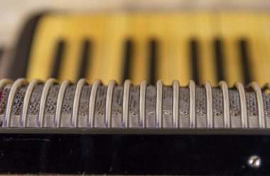 Eski akordeon piyano öncesi. Rüzgar müzik aleti. Öğrenciler için Safona. Rüzgar enstrümanı ve körükler