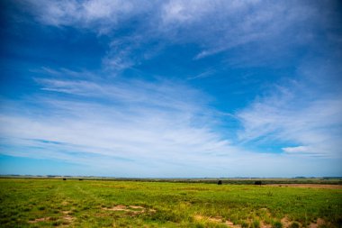 Brezilya ve Uruguay sınırında kırsal alan