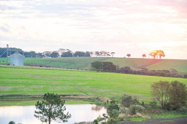 Güney Brezilya 'da alacakaranlıkta pampaların manzarası. İç mekan. Tarım üretim bölgeleri. Kırsal alan
