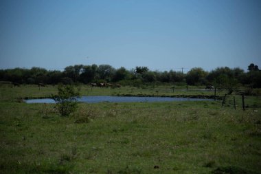 Dom Pedrito kentindeki kırsal alan.