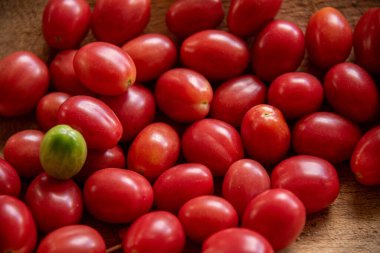 Çeri domates meyveleri (Solanum lycopersicum var. Benim için sertifika)