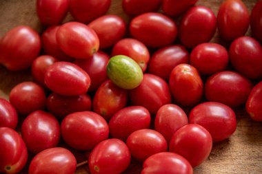 Cherry tomato fruits (Solanum lycopersicum var. cerasiforme) clipart